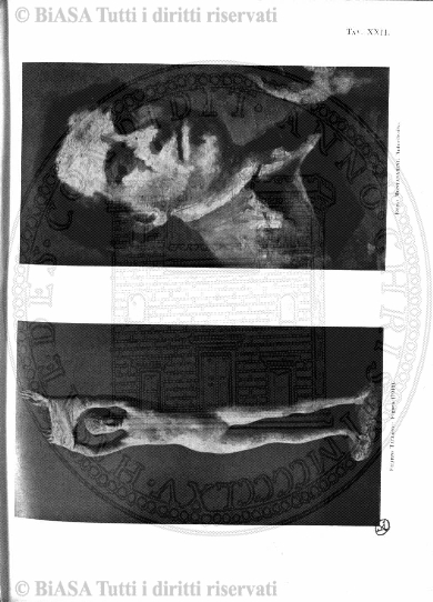 n. 8 (1888) - Pagina: 15