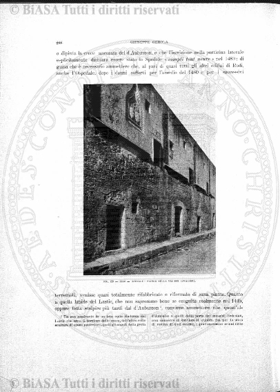 s. 2, v. 4, n. 11 (1869) - Pagina: 273