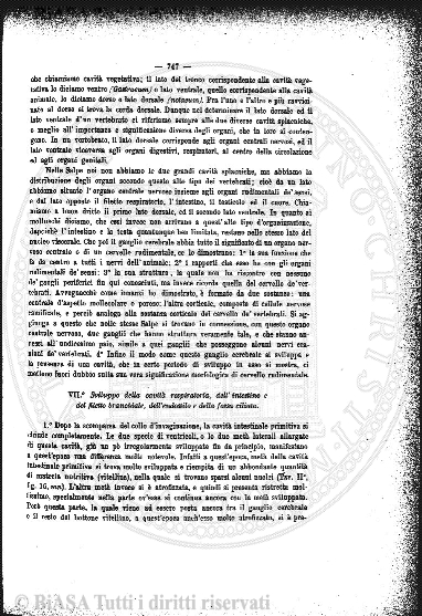 s. 4, n. 2 (1952) - Copertina: 1