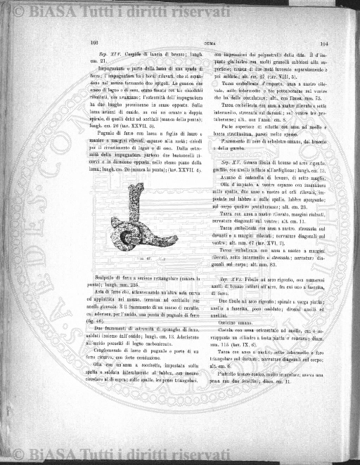n. 31 (1835) - Pagina: 121