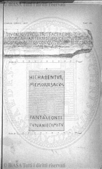 v. 2, n. 50 (1865) - Pagina: 393