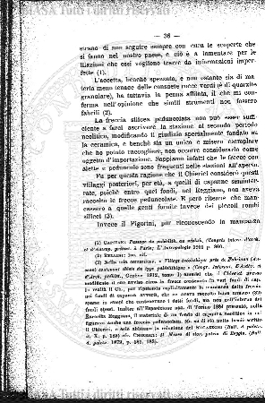v. 6, n. 46 (1839-1840) - Pagina: 361