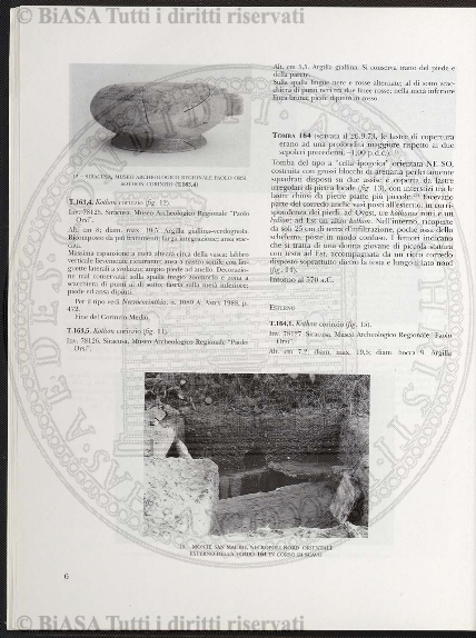 v. 11, n. 43 (1784-1785) - Pagina: 345