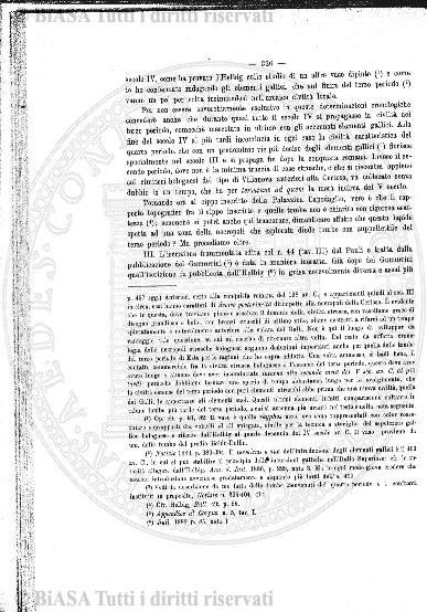 n. 3-4 (1879) - Pagina: 33