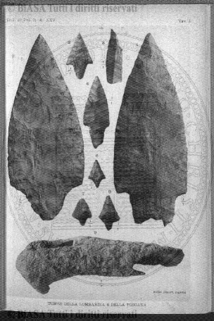 s. 3, v. 7, n. 7-9 (1901) - Pagina: 153
