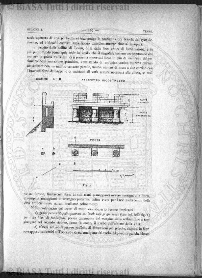 n. 24 (1888) - Pagina: 185 e sommario