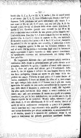 n. 46 (1909) - Frontespizio