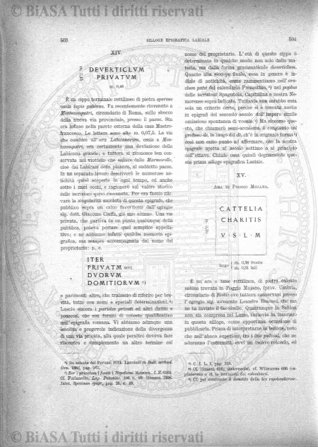 n. 26 (1877) - Occhietto