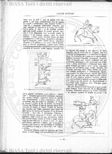 1894 (1894) - Occhietto