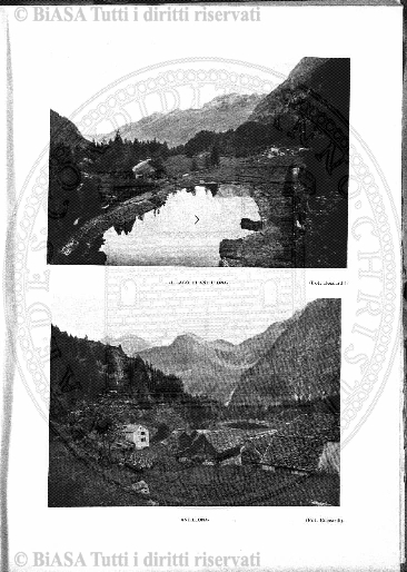 n. 38 (1900) - Frontespizio