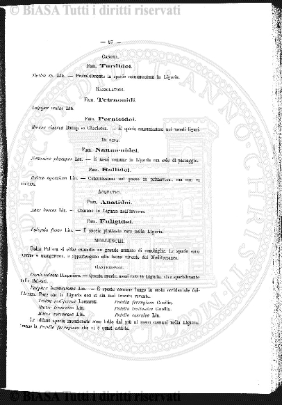 n. 10-11-12 (1929) - Pagina: 326