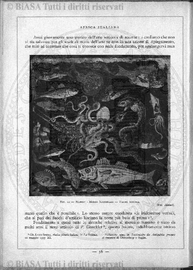 n. 11 (1923) - Pagina: 121