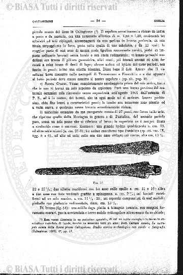 n. 31 (1895) - Frontespizio