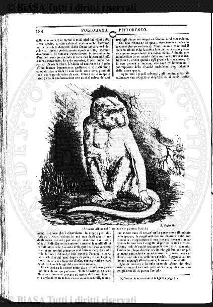 n. 6 (1829) - Pagina: 49
