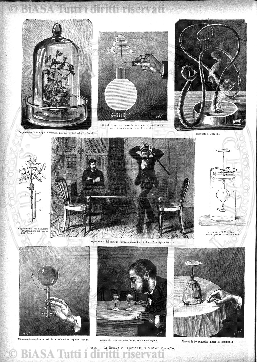 n. 11 (1916) - Copertina: 1
