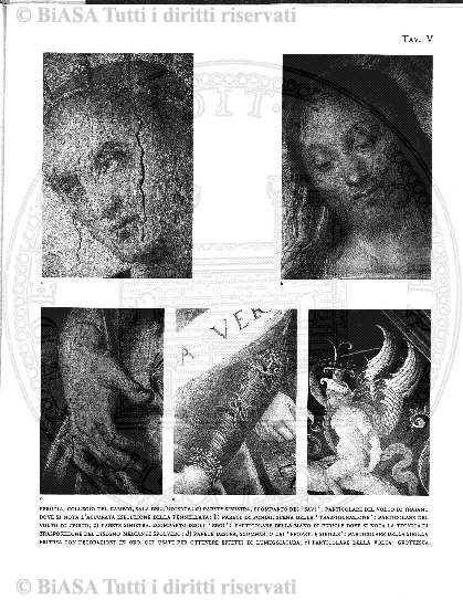 v. 27, n. 36 (1860-1861) - Pagina: 281