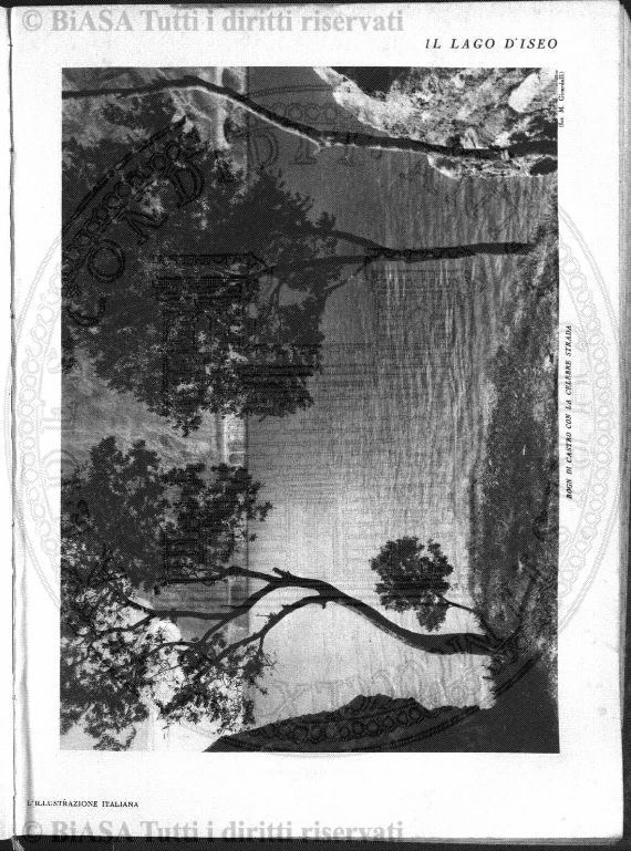 n. 11 (1912) - Pagina: 373