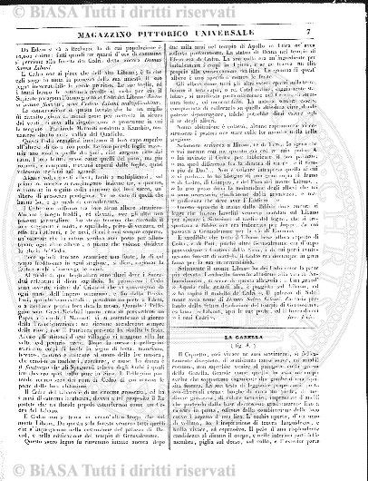 v. 2, n. 9-10-11-12 (1919) - Copertina: 1