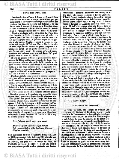 n. 11 (1906) - Pagina: 85