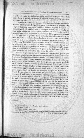 n. 1 (1885) - Occhietto