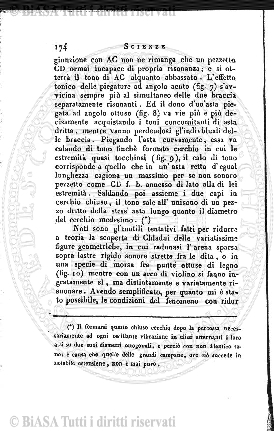 s. 2, n. 16 (1888-1889) - Pagina: 1