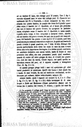 n. 44 (1900) - Frontespizio