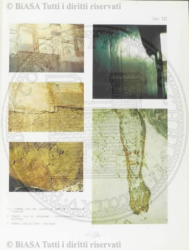 n. 4 (1904) - Pagina: 29