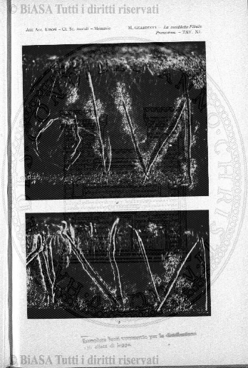 v. 34, n. 1-2 (1911) - Copertina: 1