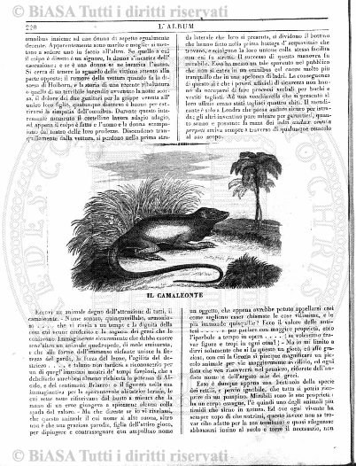 n. 3-4 (1949) - Copertina: 1