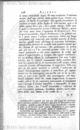 n. 11 (1928) - Frontespizio