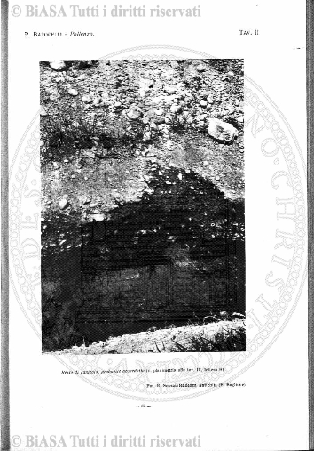n. 12 (1860) - Pagina: 225