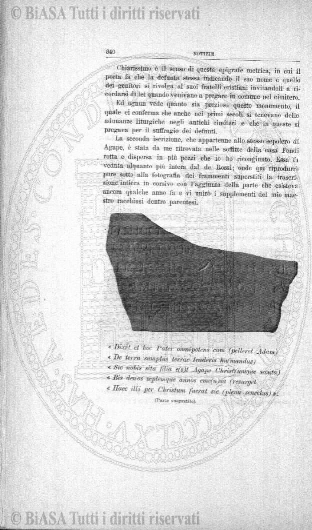 s. 3, n. 5 (1893) - Pagina: 65