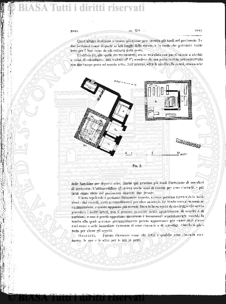 s. 3, v. 2, n. 5 (1884) - Pagina: 141