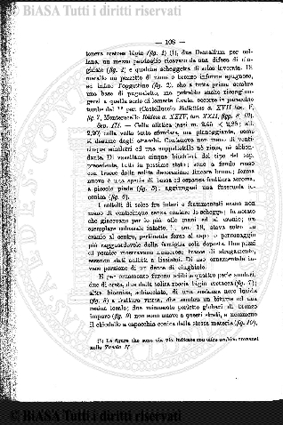 v. 49, n. 294 (1919) - Copertina: 1
