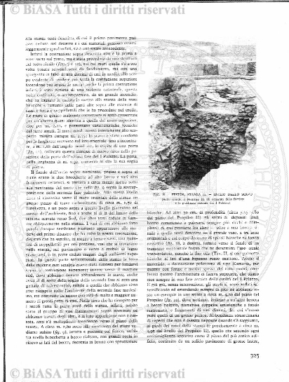 n. 9 (1922-1923) - Pagina: 145 e sommario