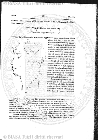 n. 5 (1847) - Pagina: 81