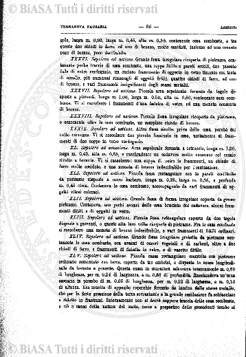 n. 4 (1874-1875) - Sommario: p. 25