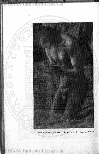 n. 30 (1884) - Frontespizio