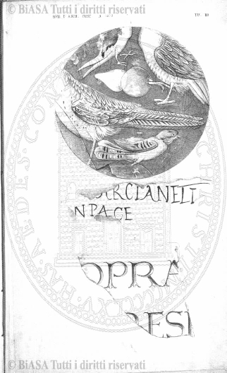 n. 19 (1884) - Frontespizio