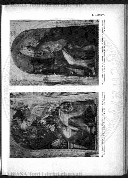 n. 10 (1890-1891) - Pagina: 81