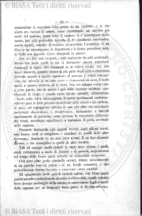 n. 37 (1916) - Frontespizio