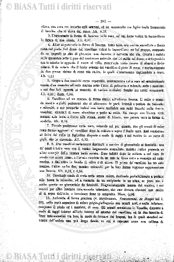 n. 5 (1905) - Frontespizio
