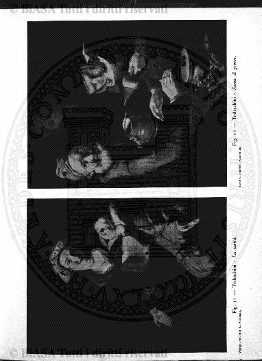 s. 2, v. 11, n. 11 (1876) - Pagina: 345