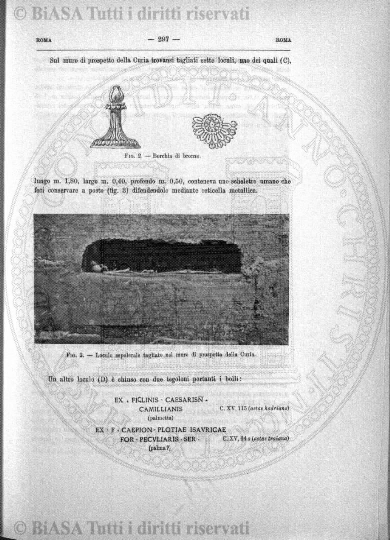 n. 19 (1895) - Frontespizio