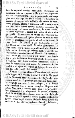 v. 2, n. 28 (1865) - Pagina: 33