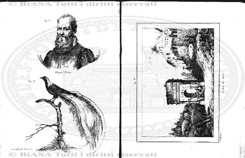 v. 9, n. 19 (1782-1783) - Pagina: 155