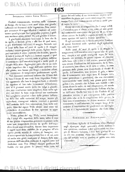 n. 11 (1929) - Copertina: 1