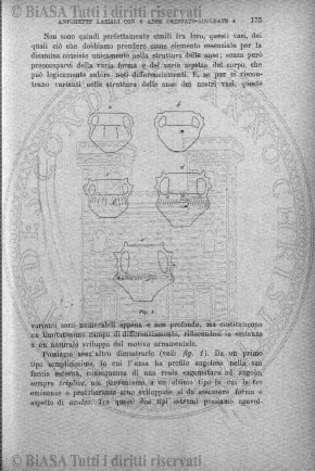 s. 2, v. 2,  n. 5-6 (1886) - Pagina: 69