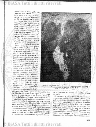 n. 6 (1905) - Pagina: 45