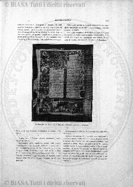 s. 6, n. 6 (1893) - Pagina: 81